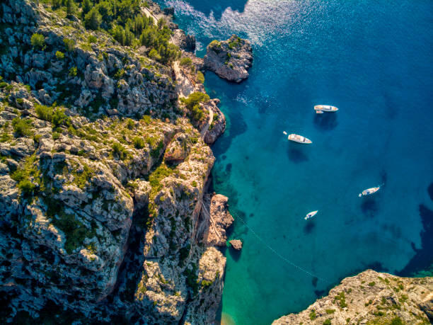 CRUISES Sail to incredible destinations with curated options for every travel style